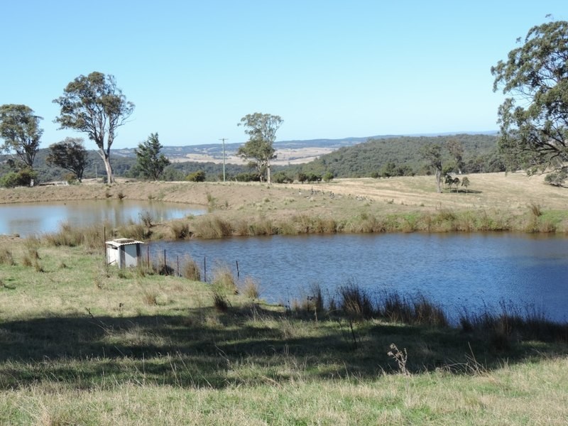 2488 Towrang Road, Brayton NSW 2579