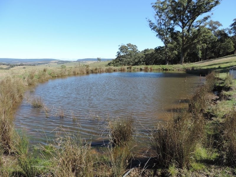 2488 Towrang Road, Brayton NSW 2579