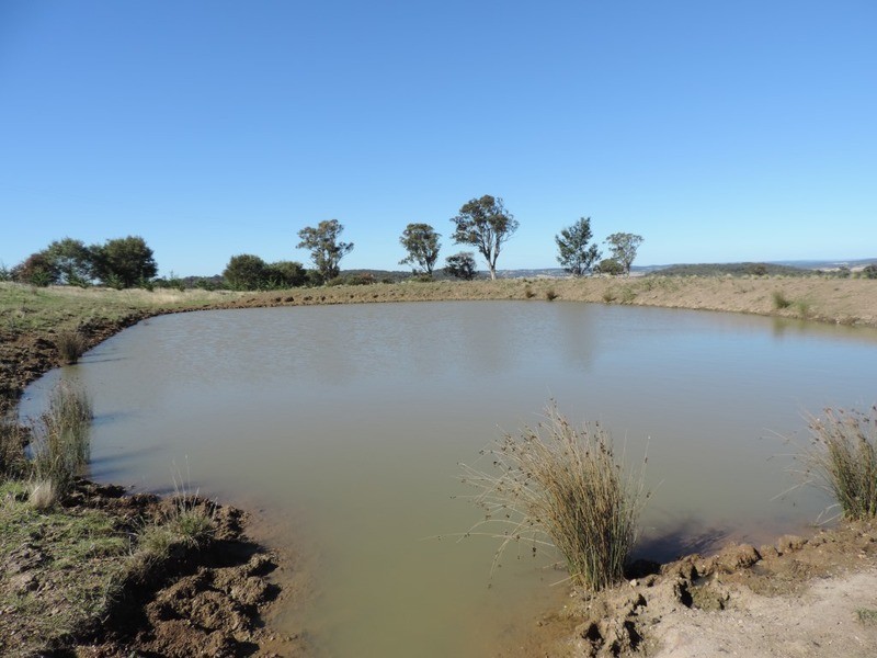 2488 Towrang Road, Brayton NSW 2579