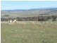 211 Pomaroy Mill Ford Road, Goulburn NSW 2580