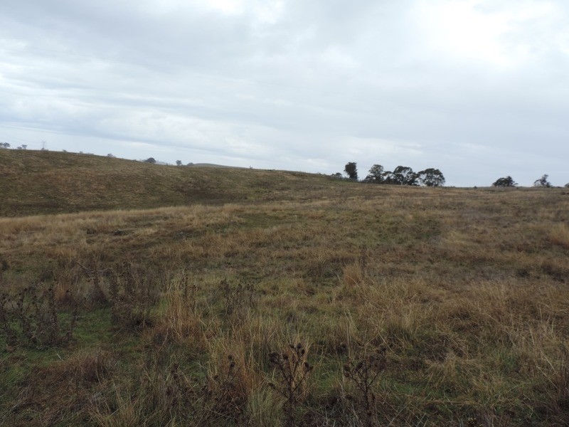 409 Hanworth Road, Bannaby NSW 2580