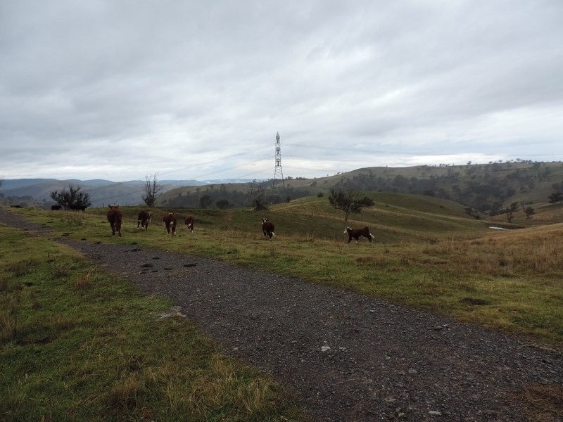 409 Hanworth Road, Bannaby NSW 2580