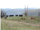 409 Hanworth Road, Bannaby NSW 2580