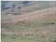 409 Hanworth Road, Bannaby NSW 2580