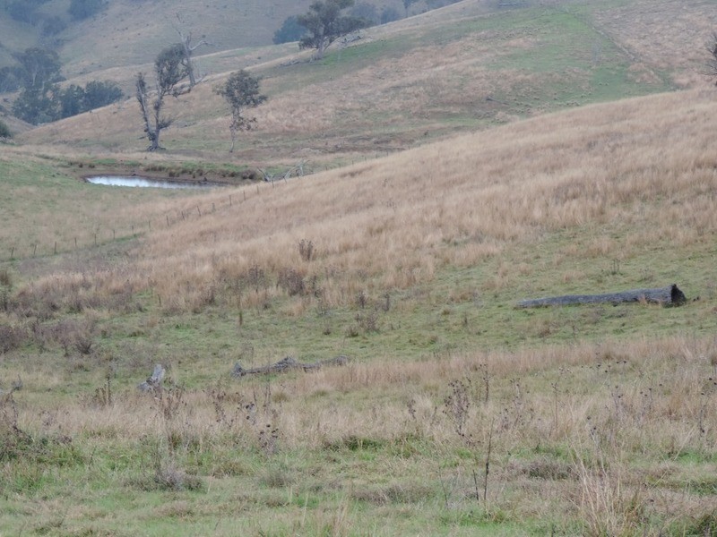 409 Hanworth Road, Bannaby NSW 2580