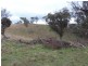 409 Hanworth Road, Bannaby NSW 2580