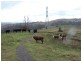 409 Hanworth Road, Bannaby NSW 2580