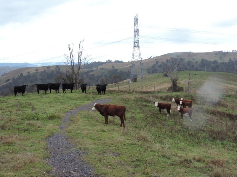 409 Hanworth Road, Bannaby NSW 2580