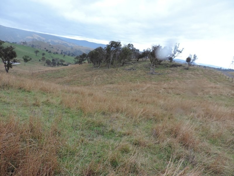 409 Hanworth Road, Bannaby NSW 2580