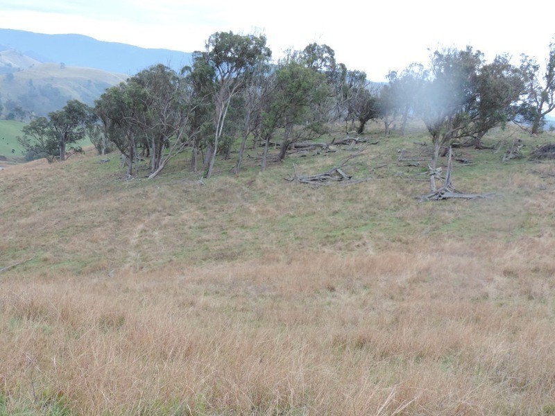409 Hanworth Road, Bannaby NSW 2580
