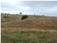 409 Hanworth Road, Bannaby NSW 2580