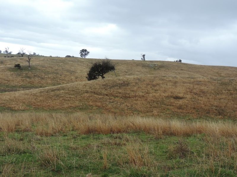 409 Hanworth Road, Bannaby NSW 2580