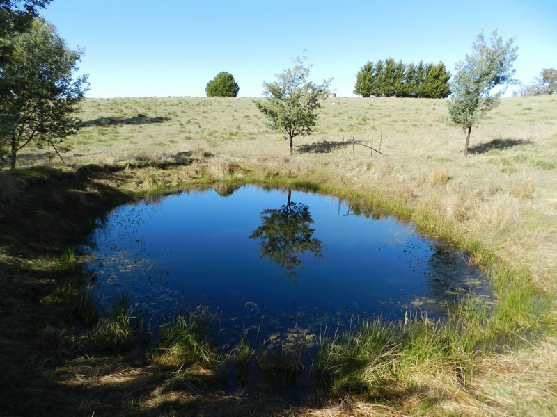 1330 Kangaloolah Road, Binda NSW 2583