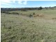 1330 Kangaloolah Road, Binda NSW 2583