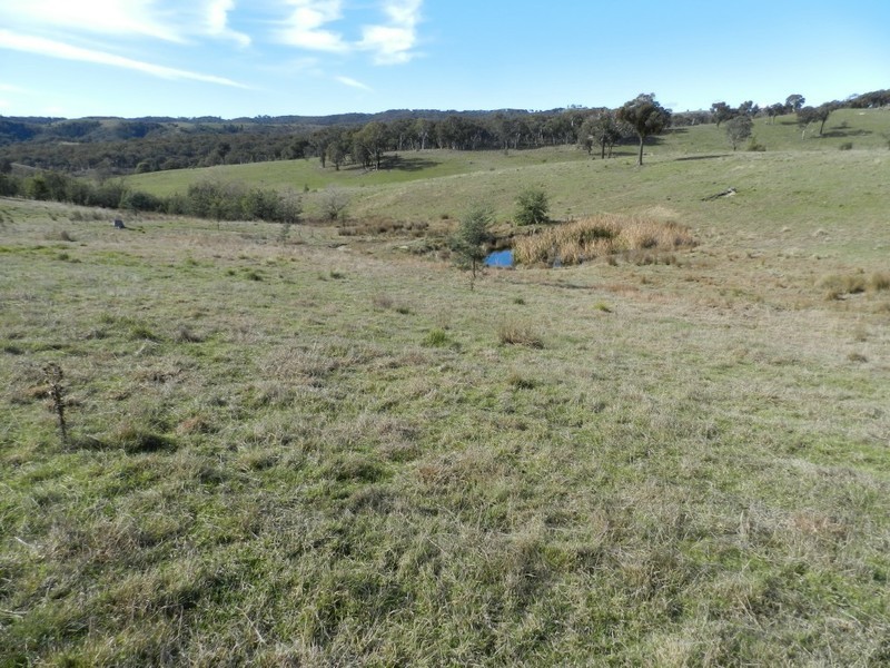 1330 Kangaloolah Road, Binda NSW 2583