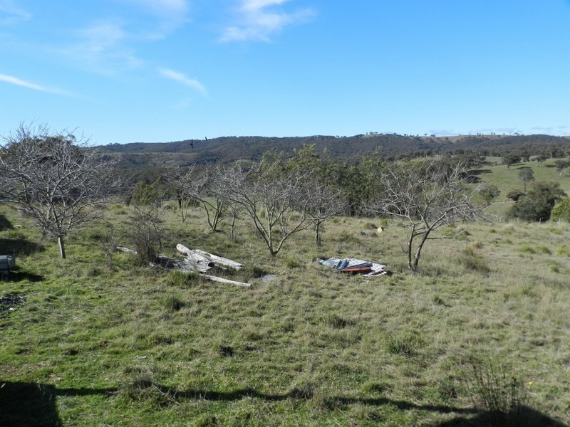 1330 Kangaloolah Road, Binda NSW 2583