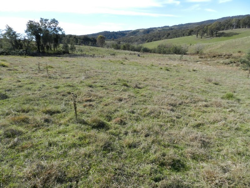 1330 Kangaloolah Road, Binda NSW 2583