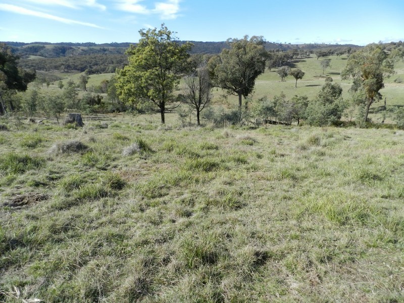 1330 Kangaloolah Road, Binda NSW 2583