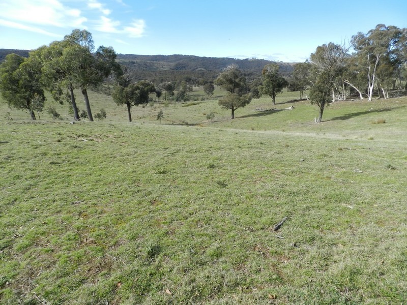 1330 Kangaloolah Road, Binda NSW 2583