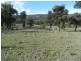1330 Kangaloolah Road, Binda NSW 2583