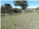 1330 Kangaloolah Road, Binda NSW 2583