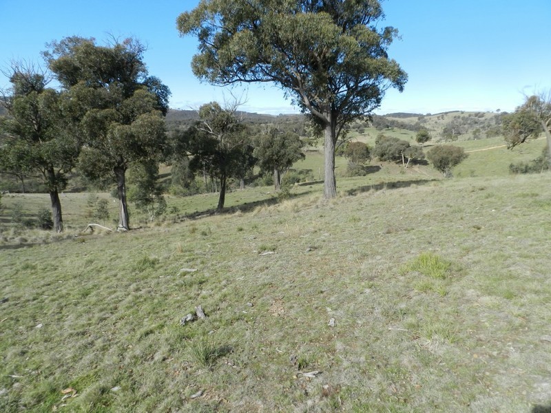1330 Kangaloolah Road, Binda NSW 2583