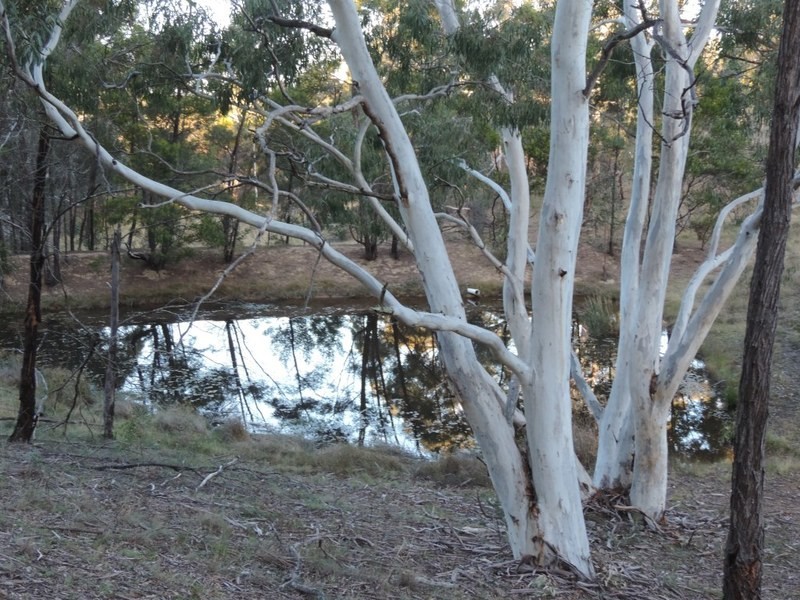 5418 Oallen Ford Road, Bungonia NSW 2580