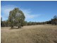 5418 Oallen Ford Road, Bungonia NSW 2580