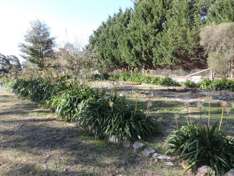 5418 Oallen Ford Road, Bungonia NSW 2580