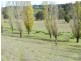 Sandy Creek 42 Lachlan Street, Bigga NSW 2583