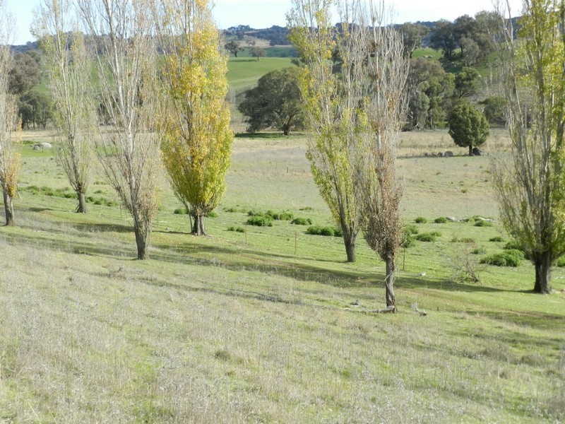 Sandy Creek 42 Lachlan Street, Bigga NSW 2583