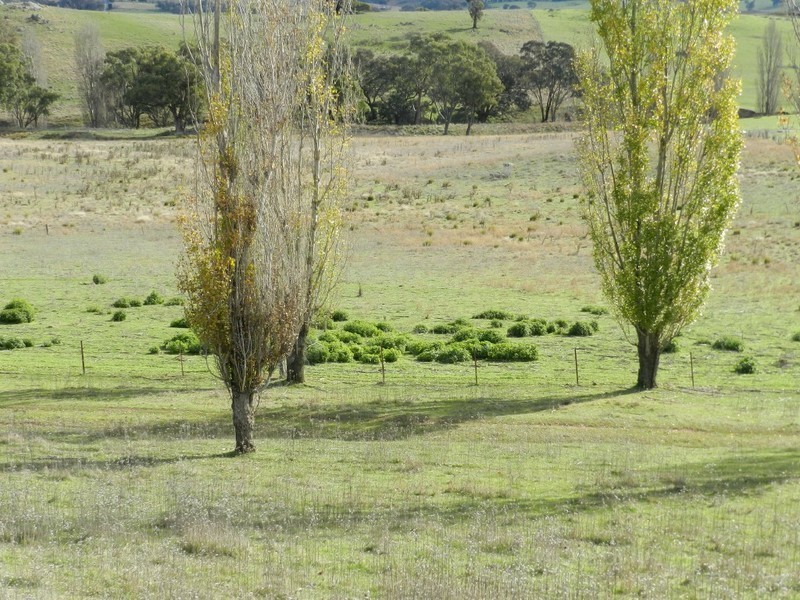 Sandy Creek 42 Lachlan Street, Bigga NSW 2583