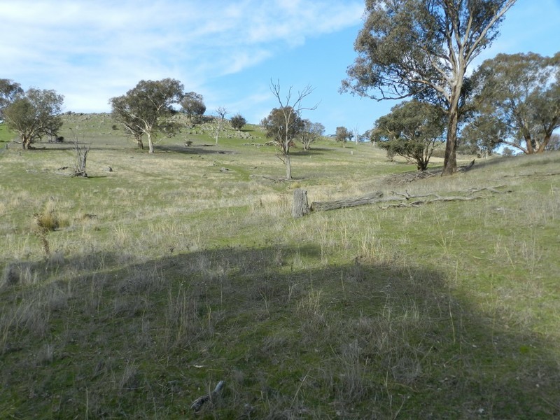 Sandy Creek 42 Lachlan Street, Bigga NSW 2583