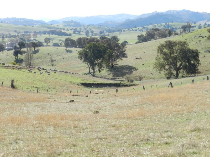 Sandy Creek 42 Lachlan Street, Bigga NSW 2583