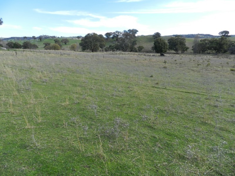 Sandy Creek 42 Lachlan Street, Bigga NSW 2583