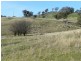 Sandy Creek 42 Lachlan Street, Bigga NSW 2583
