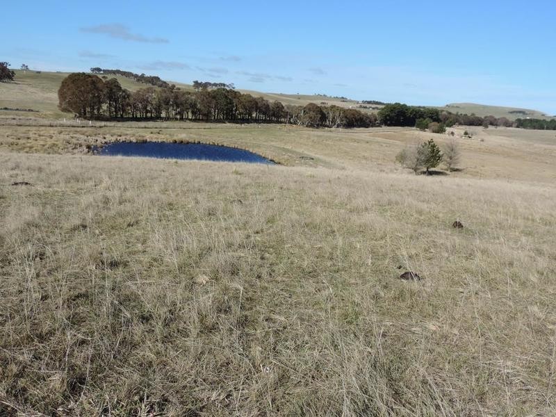 383 Woodhouselee Road, Goulburn NSW 2580