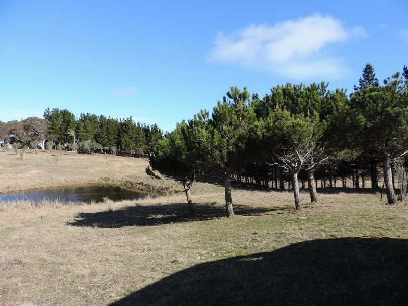 383 Woodhouselee Road, Goulburn NSW 2580