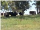 Lot 5 Trappers Way, Woodhouselee NSW 2580