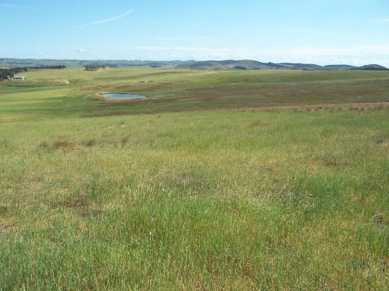 Lot 5 Trappers Way, Woodhouselee NSW 2580