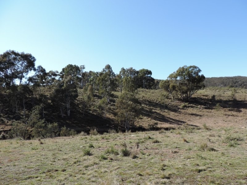 Lot 214 Middle Arm Road, Goulburn NSW 2580