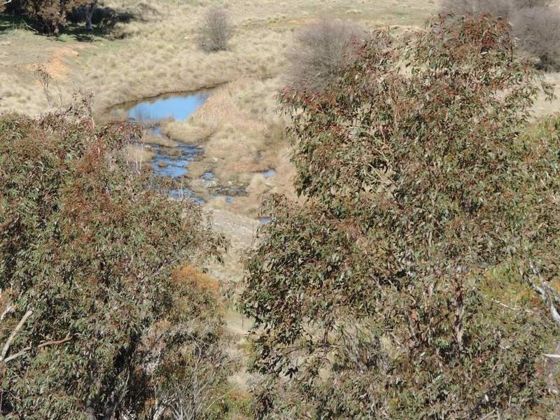 Lot 214 Middle Arm Road, Goulburn NSW 2580