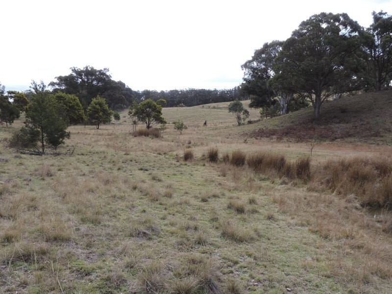 1063 Bullamalita Road, Quialigo NSW 2580