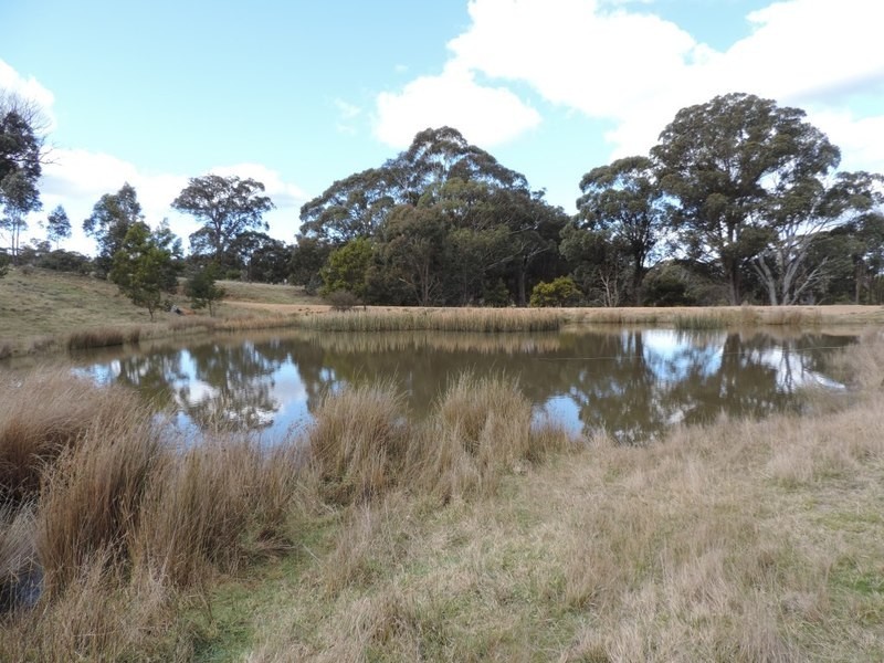 1063 Bullamalita Road, Quialigo NSW 2580