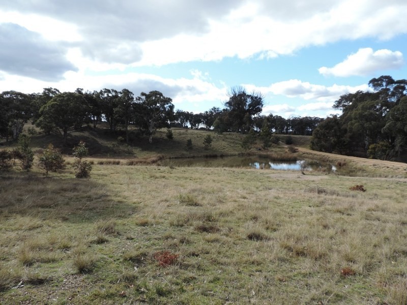 1063 Bullamalita Road, Quialigo NSW 2580