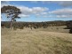 1063 Bullamalita Road, Quialigo NSW 2580