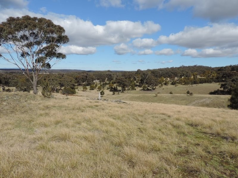 1063 Bullamalita Road, Quialigo NSW 2580