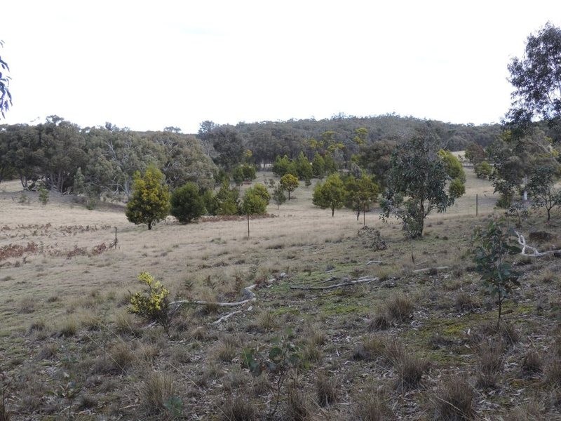 1063 Bullamalita Road, Quialigo NSW 2580