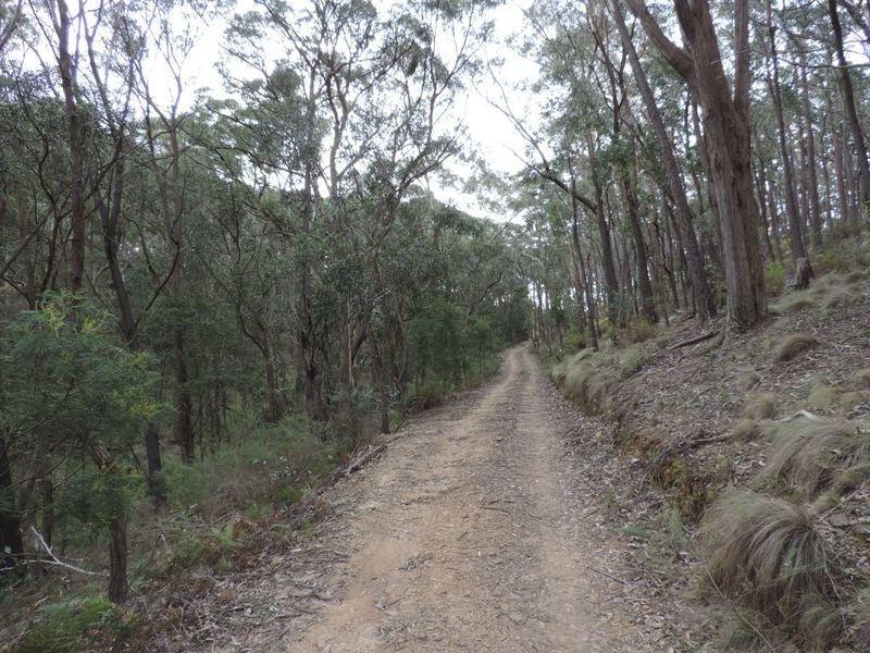 1329 Bannaby Road, Taralga NSW 2580