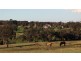 Pomeroy West 2337 Range Road, Goulburn NSW 2580